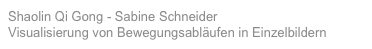 Shaolin Qi Gong - Sabine Schneider
Visualisierung von Bewegungsabläufen in Einzelbildern